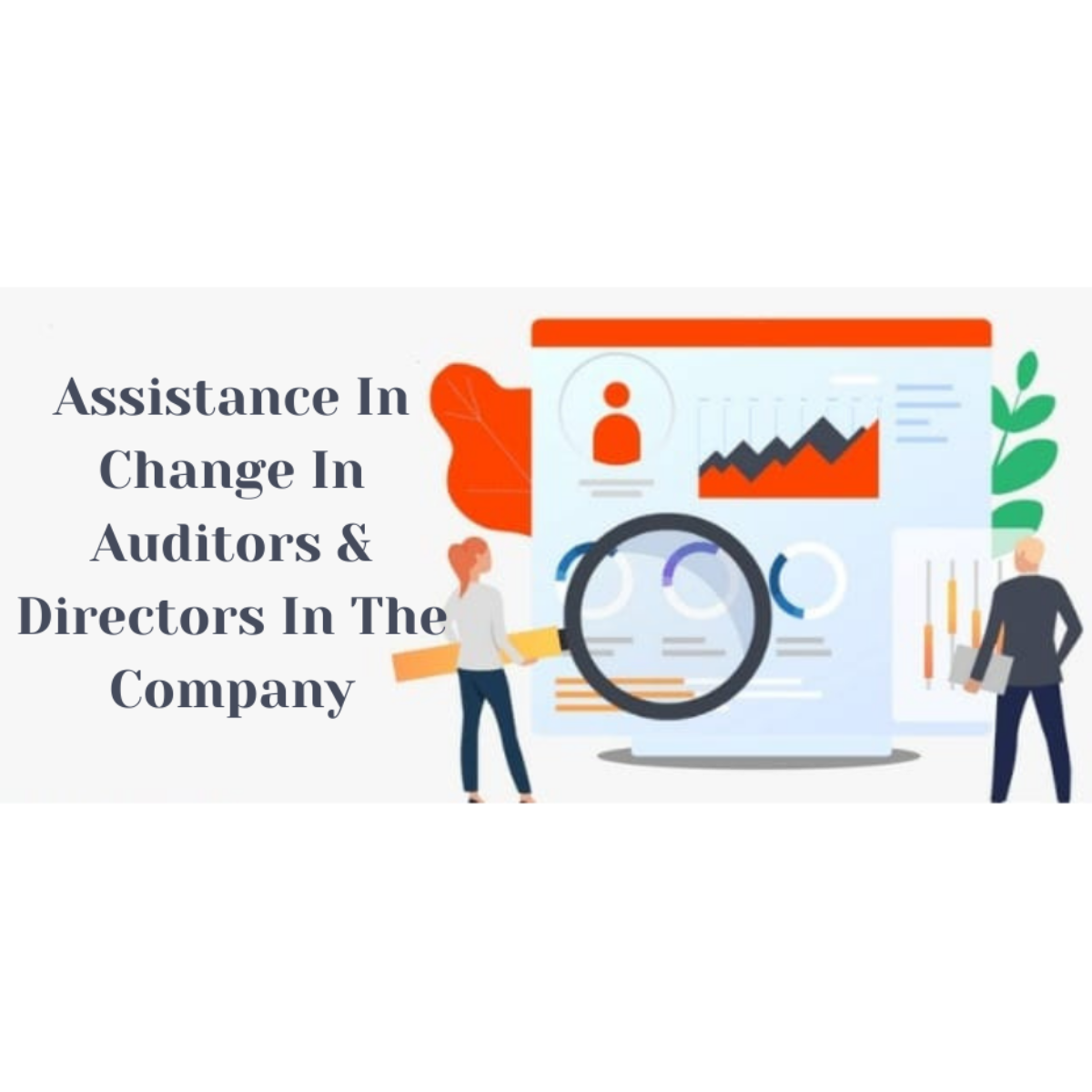 Change In Auditors and Directors In The Company